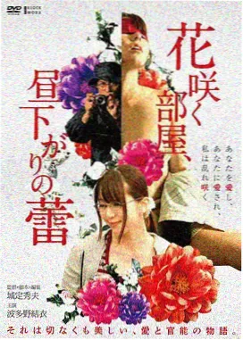 第九个夏天 剧情电影封面